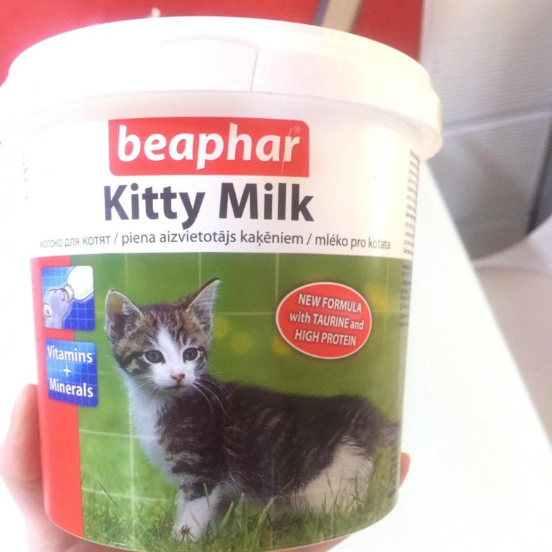 Kitty Milk beaphar (молоко для котят) – купить на Юле. 