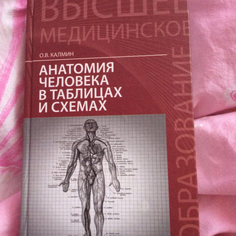 Учебник по анатомии. Учебник по анатомии для медицинских колледжей. Карточки по анатомии. Учебник по топ анатомии.