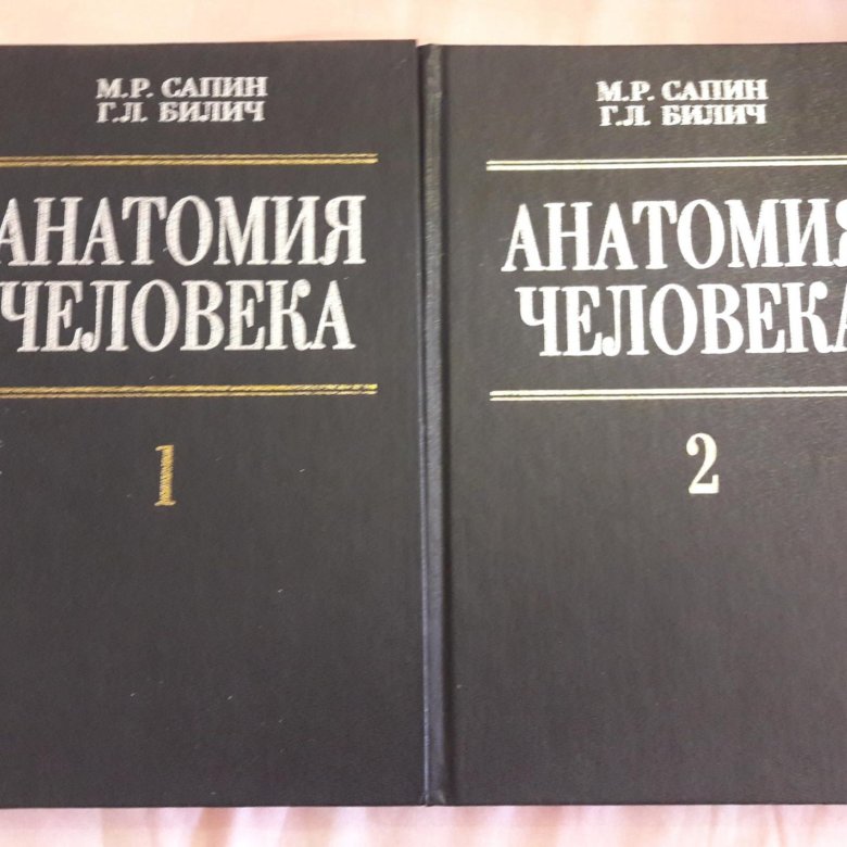 Сапин билич анатомия. Сапин Билич анатомия человека. Сапин анатомия 1 том. Нормальная анатомия человека м р Сапин г л Билич. Анатомия человека Сапин 2 том.