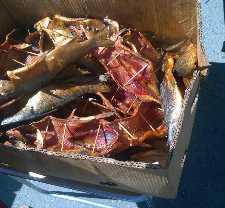 омуль холодного копчения с фимозой. омуль байкальский купить. омуль астраханский вяленый. омуль продам. ленский омуль.