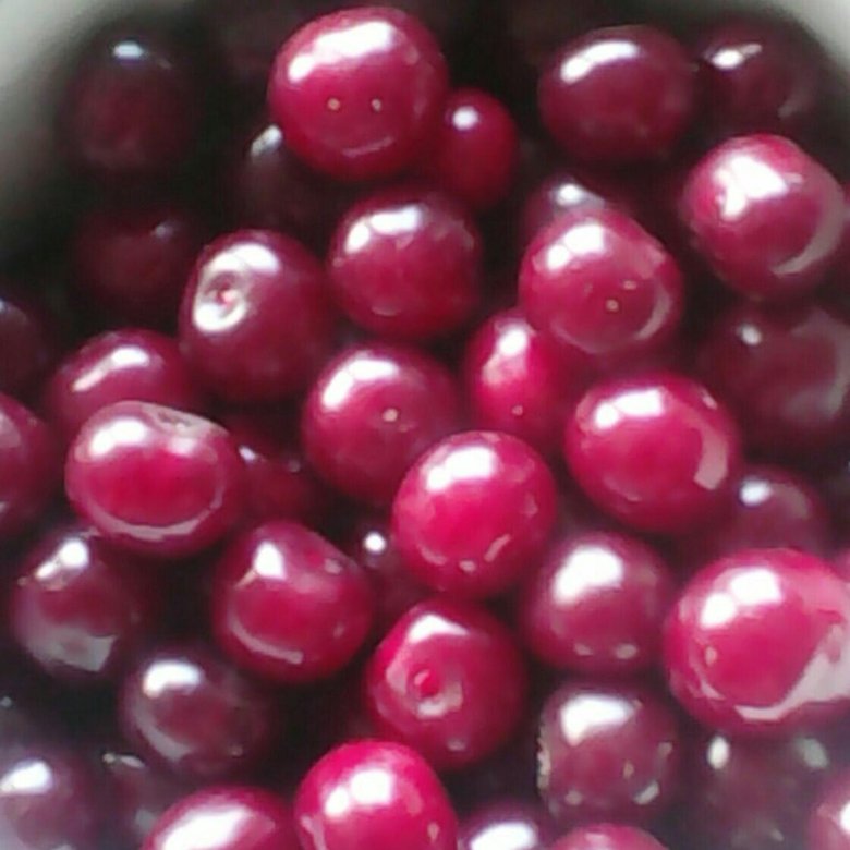 Вишня сорт жуковская. Вишня 10 лет. Вишня жуковская. Вишня загорьевская. Вишня сорт молодежная.