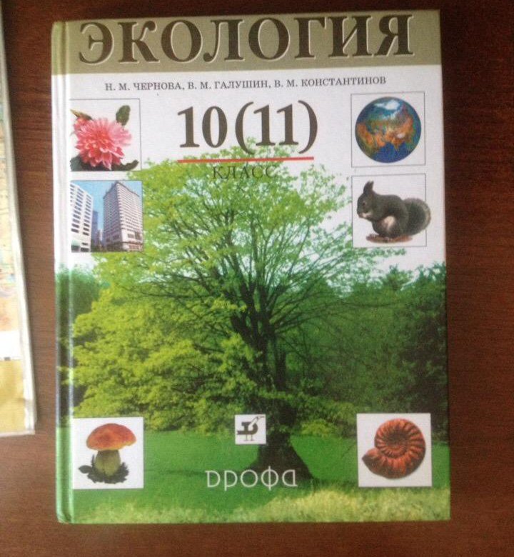 Проект по экологии 10 11 класс