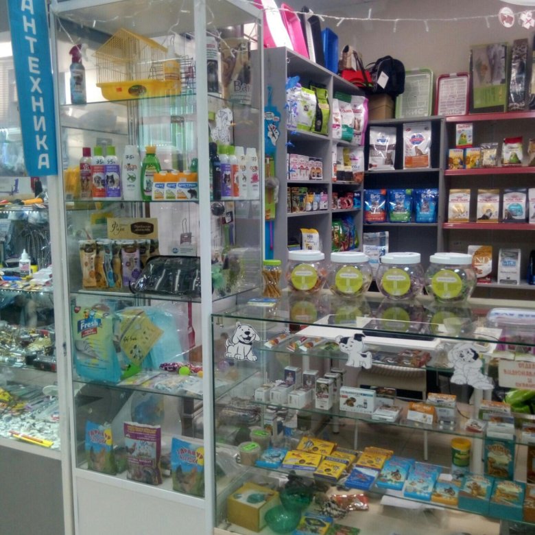 зоомагазин гвардейская. магазин для животных белгород. зоомагазин морозовск. зоомагазин рославль. зоомагазин волгоград.