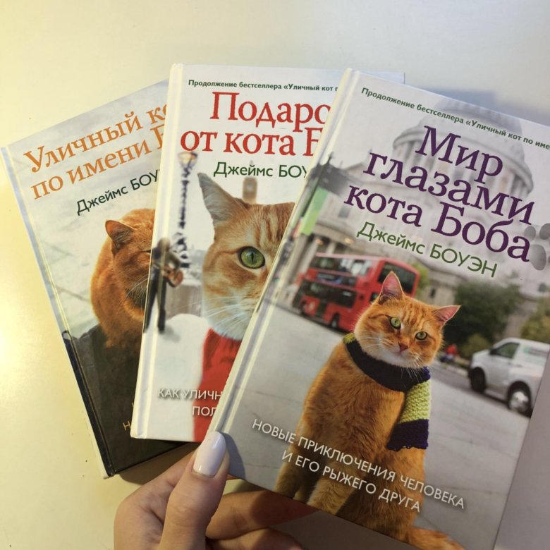 Кот боб книга. Все книги про кота Боба. Популярная книга про кот Боб. Вся коллекция книг про кота Боба.