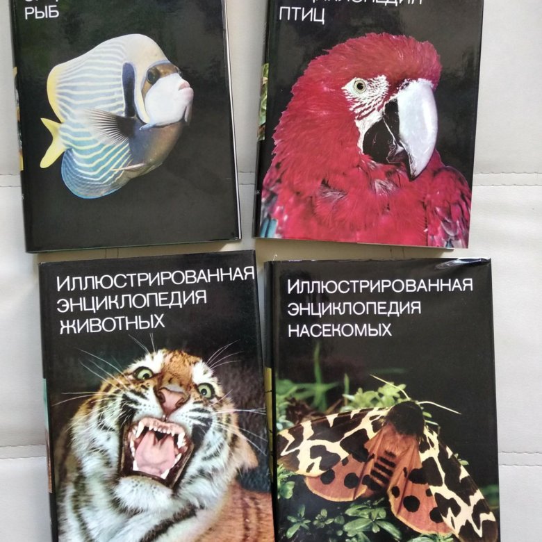 Энциклопедия природы – купить в Москве, цена 5 000 руб., дата ...