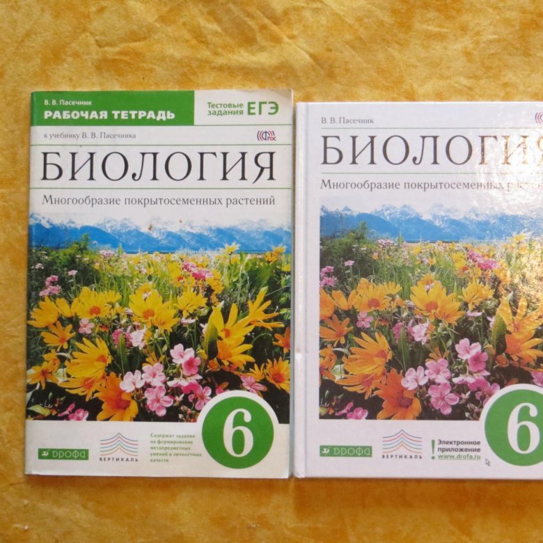 Биология 6 класс лисов. Биология 6 класс рабочая тетрадь. Биология шестой класс рабочая тетрадь. Тетрадь по биологии 6 класс. Биология 6 класс рабочая тетрадь Пасечник.
