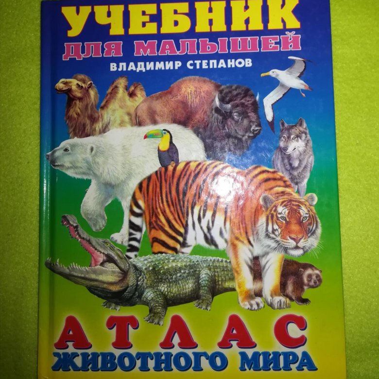 Планирование мир животных. Владимир Степанов атлас животного мира. Книга мир животных. Мир зверей и птиц Владимир Степанов. Владимир Степанов: животный мир земли.