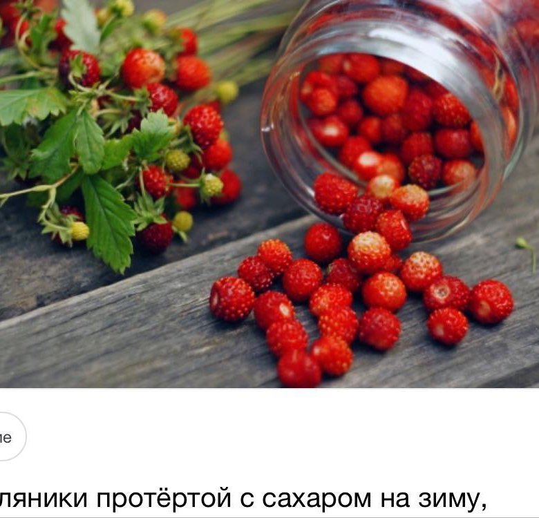 Экскурсии ягодное. Отдушка Лесная земляника. Лето ягоды. Клубника Лесная. Ягоды Эстетика.