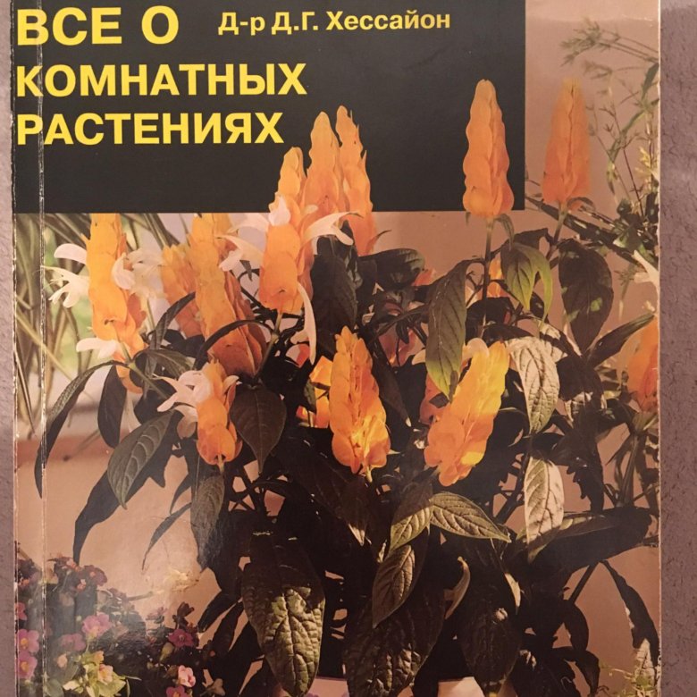 Художественная литература комнатные растения. Хессайон цветочные композиции.