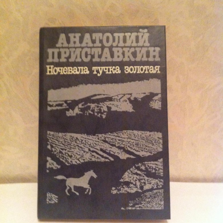 Ночевала тучка золотая кратко по главам. Ночевала тучка Золотая Приставкин. Ночевала тучка Золотая книга. Ночевала тучка Золотая Приставкин идея. Ночевала тучка Золотая Приставкин аудиокнига.