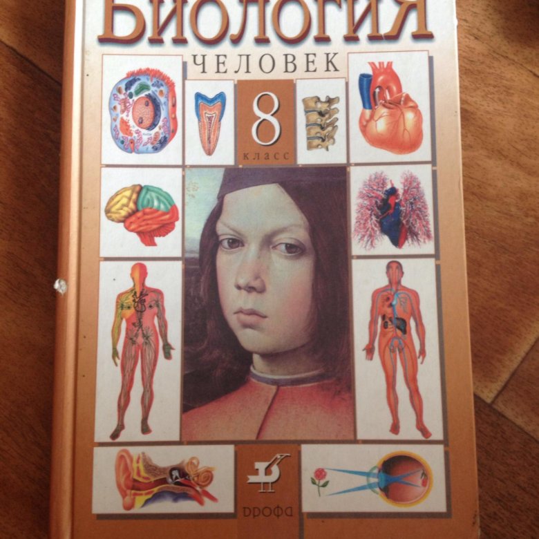 Book 8 класс