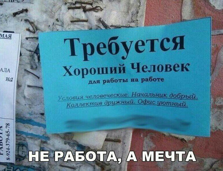 Продавец-консультант (муж.) - работа в Камышине, зарплата 14 000 руб., продано 1