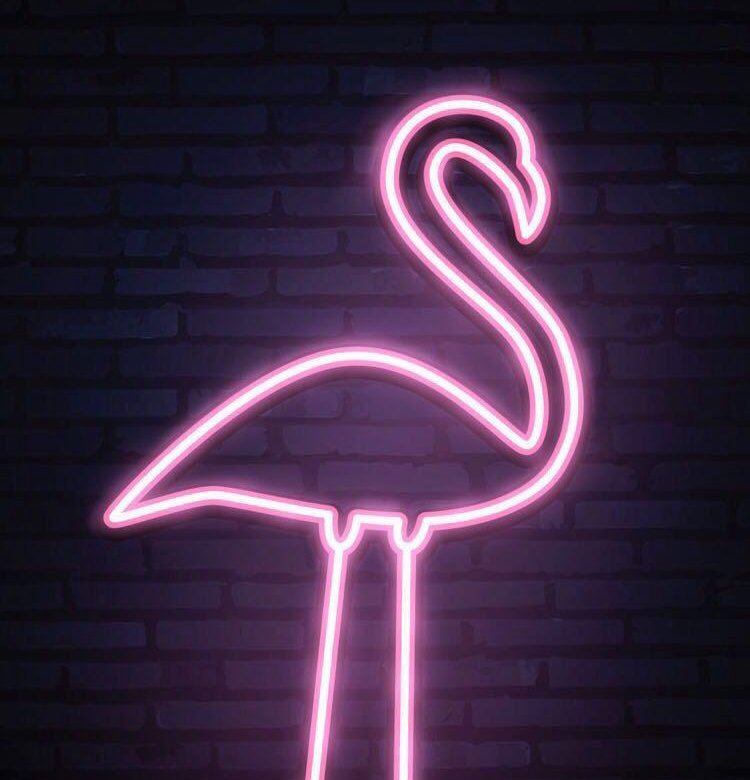 Фламинго фитнес. Розовый Фламинго неон. Неоновая лампа на черном фоне Фламинго. Обои айфон Неоновые лампы.