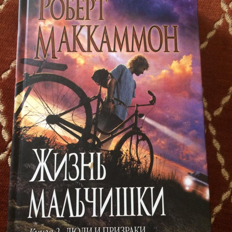 Аудиокнига новая жизнь. Жизнь мальчишки Роберт Маккаммон. Жизнь мальчишки. Жизнь мальчишки Роберт Маккаммон иллюстрации. ЭМИС Мартин 