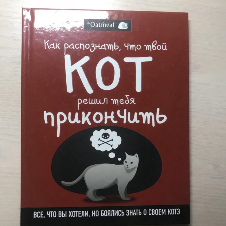 Это что твой кот. Кошка киви. Как зовут кота. Это что твой кот. Мой кот который ест одну и ту же еду.