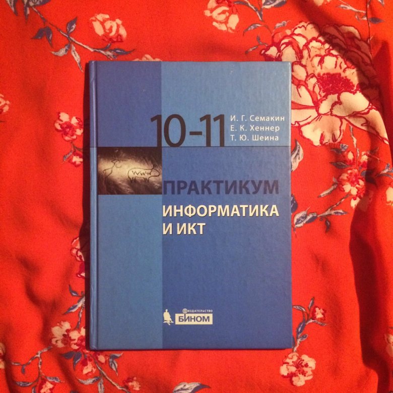 Практикум 10. Информатика и ИКТ 10 класс. Информатика практикум. Информатика 10 класс практикум. Практикум по информатике 10-11 класс.