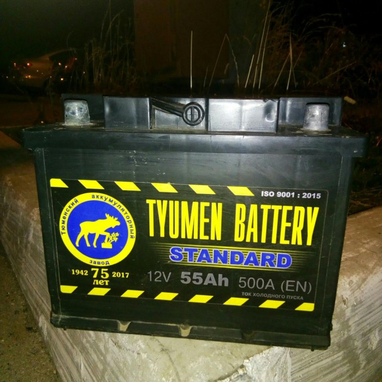 Тюмень стандарт. Аккумуляторы Tyumen Battery Standard логотип вектор. Год выпуска аккумулятора Тюмень. Год выпуска Тюменского аккумулятора. Тюмень стандарт 55.