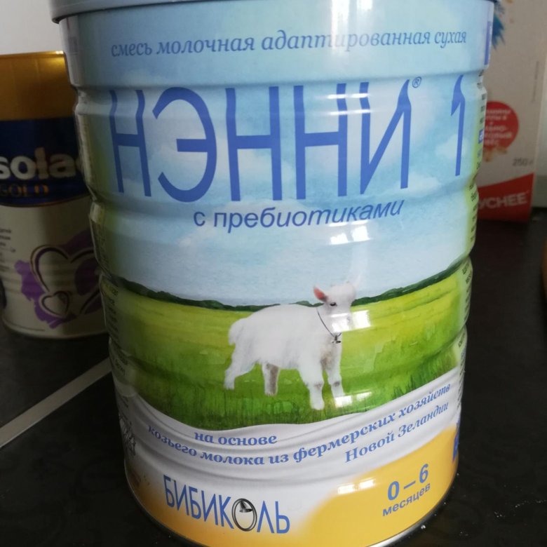 Смесь нэнни купить