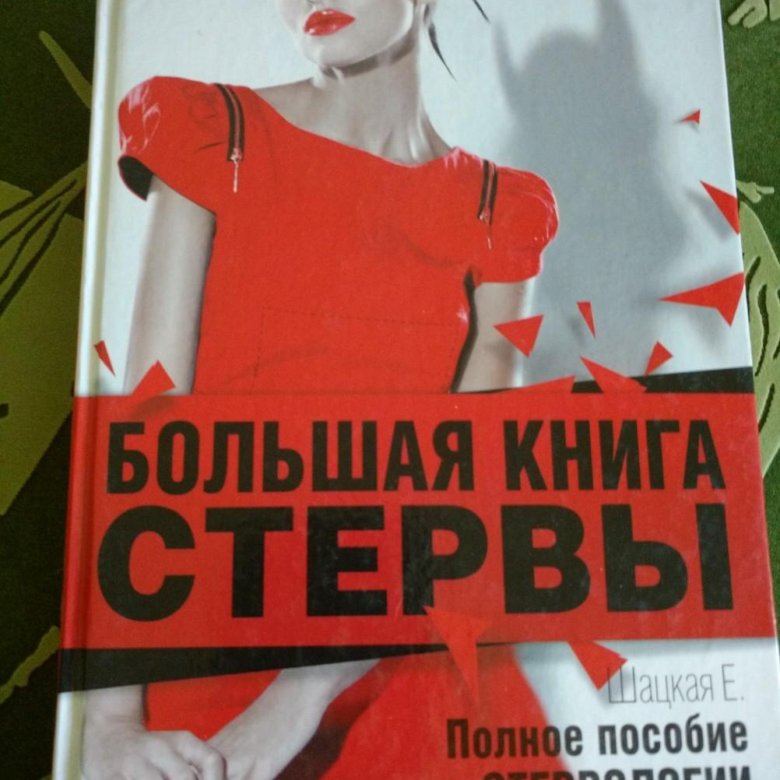 Мужчины любят стерв книга