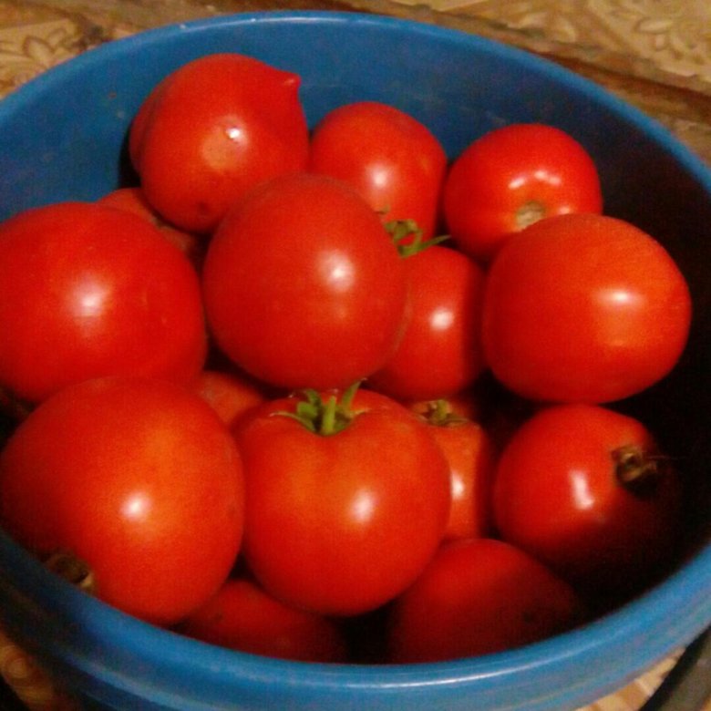Помидоры домашние большие. Продам помидоры домашние. Помидоры домашние фото.