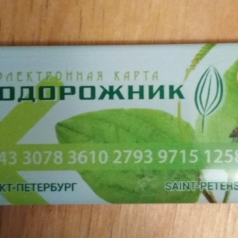 Маленький подорожник проездной. Карта подорожник. Подорожник в виде брелка. Электронная карта подорожник спб. Карта подорожник питер.