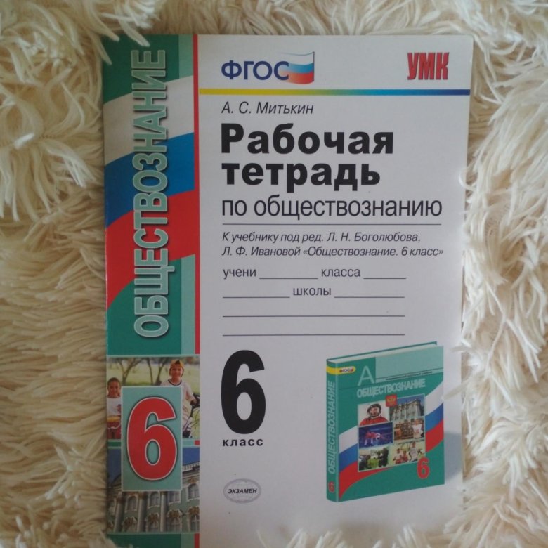 Рабочая тетрадь по обществознанию митькин. Рабочая тетрадь по обществознанию 6 класс. Тетрадь по обществознанию 6 класс. Обществознание 6 класс рабочая тетрадь. Обществознание 6 класс рабочая тетрадь Митькин.