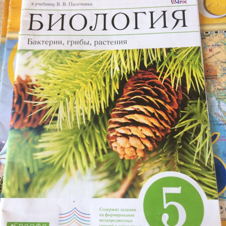 Биология 5 класс учебник пасечник 2023 стр. Биология 6 класс. Бактерии, грибы, растения. Пасечник. Биология Пасечник 5. Биология 5 кл Пасечник. Биология 6 класс грибы растения Пасечник в.в.