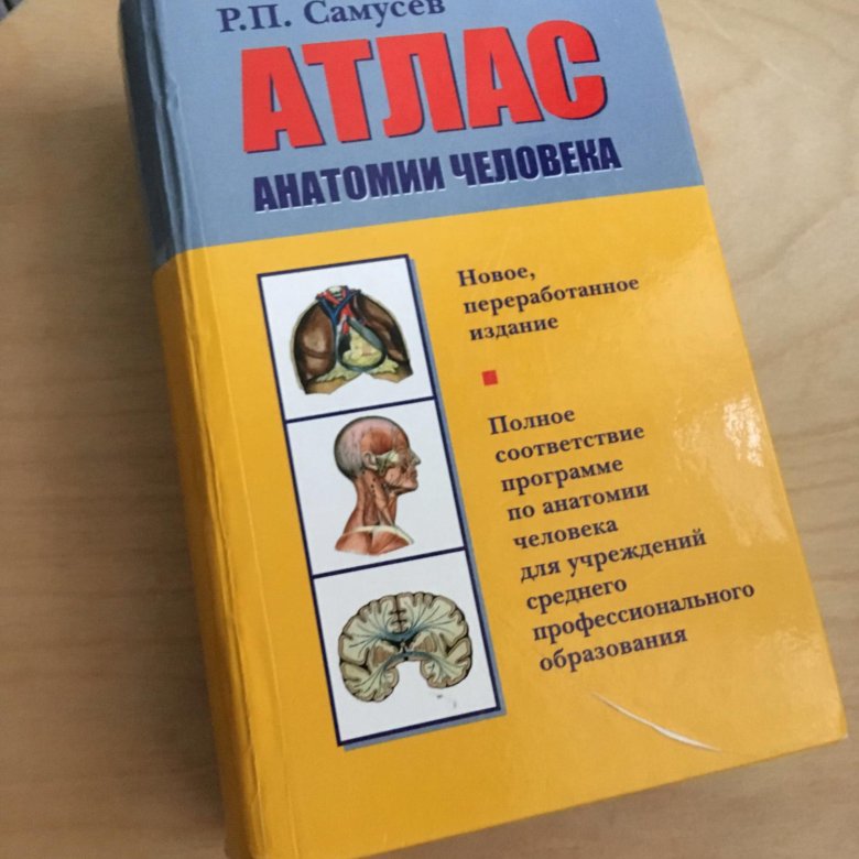 Самусев атлас анатомии. Атлас анатомии человека Самусев 2003. Атлас анатомии. Самусев 17 издание. Атлас анатомии человека Самусев Липченко.