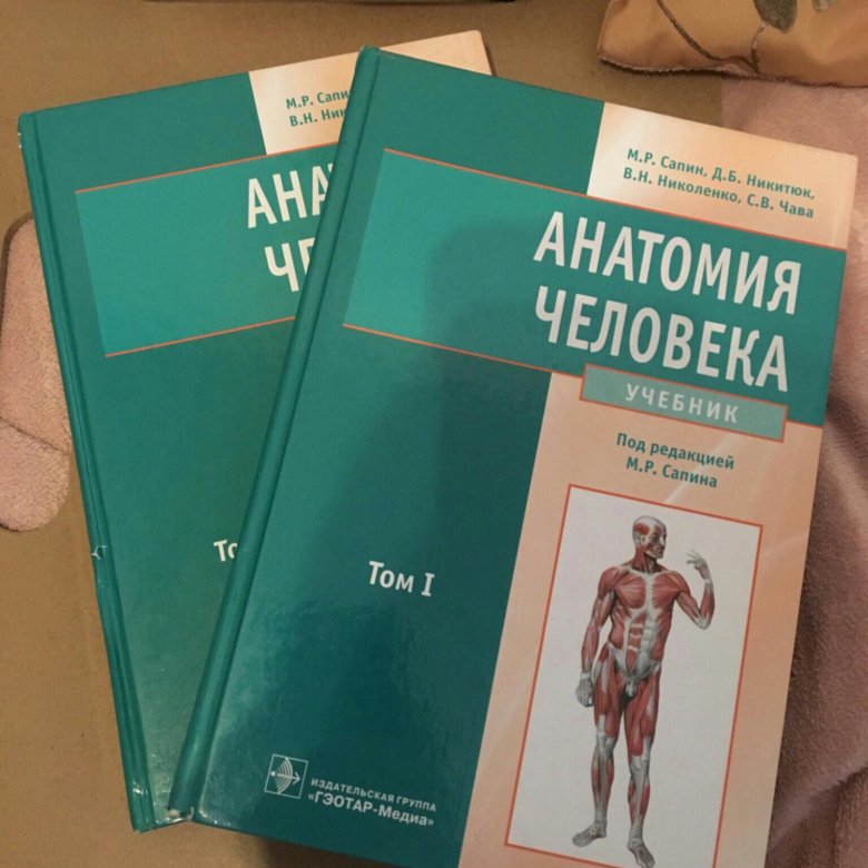 Учебник анатомии авторы. Анатомия человека 2 том Сапин Билич. Анатомия человека Сапин 1,2 том. Сапин Никитюк анатомия человека. Анатомия человека в 3 томах Сапин.