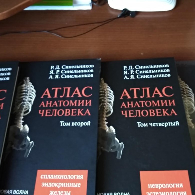 Учебник синельникова по анатомии. Атлас анатомии человека р.д Синельникова в 4 томах. Атлас анатомии человека Синельников в 4-х томах. Атлас анатомии Синельников 2 том. Атлас Синельникова 3 том.