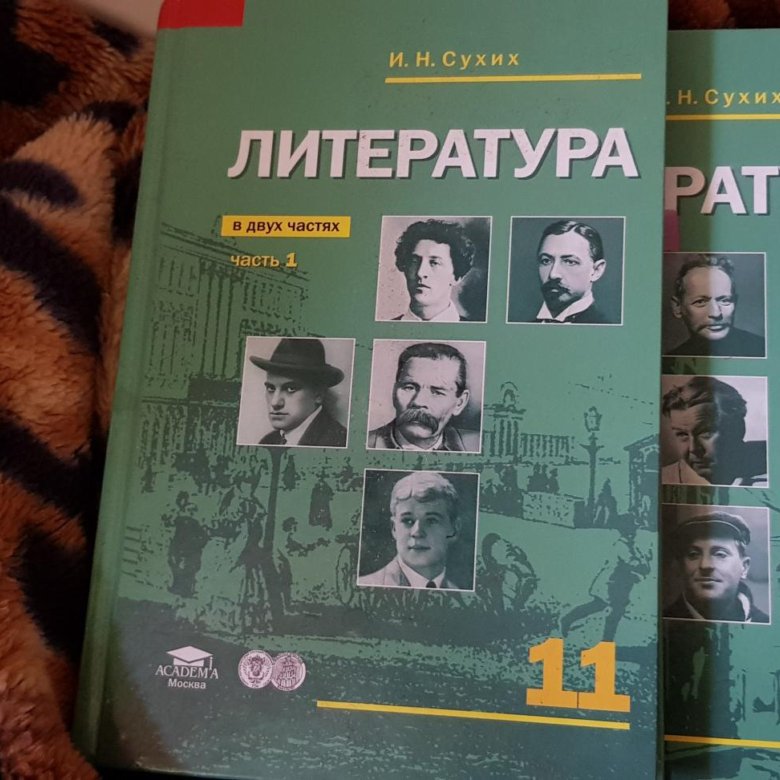 Слушать учебник литературы. Литература. 11 Класс. Учебник. Сухих и.н. 