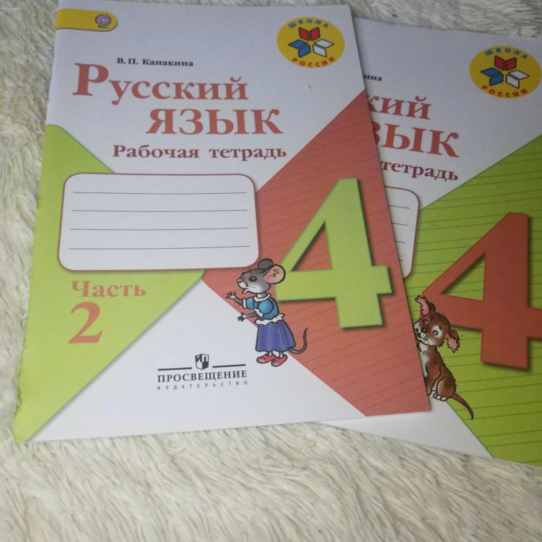 Рабочая тетрадь 4 класс по русскому языку. Русский язык 4 класс Кан Кина. Русский язык Канакина. Канакина 4 класс.