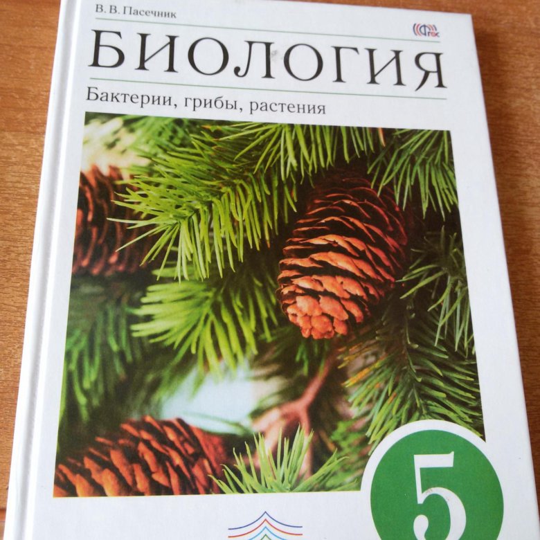 Биология 5 класс учебник пасечник параграф