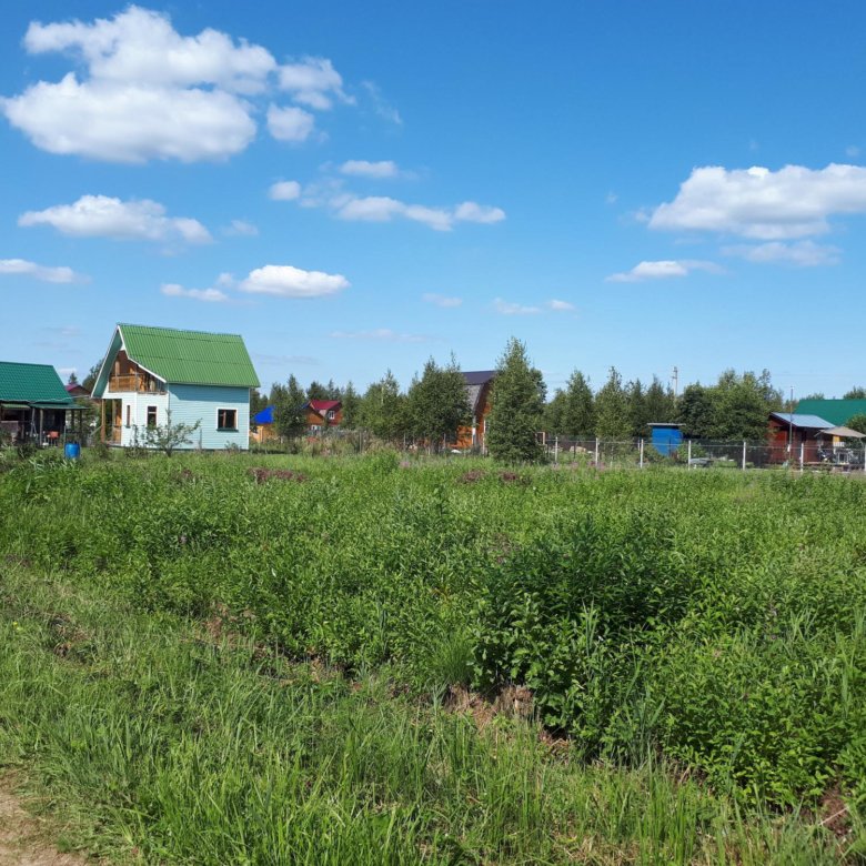 Власово бельское