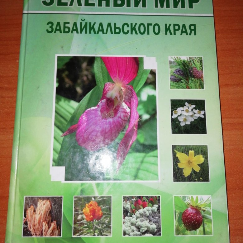 Зеленый учебник. Зеленый мир Забайкальского края учебник. Энциклопедия Забайкальского края. Книги про Забайкальский край. Книги о Забайкалье.