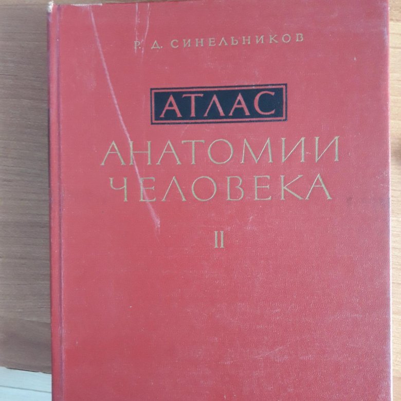 Атлас анатомии человека 1 том р. Атлас анатомии человека р. Д синельникова в 4 томах. Д. Атлас анатомии человека синельников.