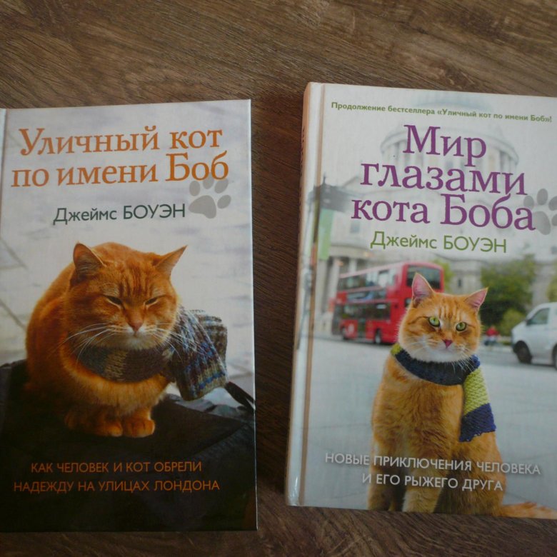 Кот боб книга. Книга про рыжего кота Боба. Мир глазами кота Боба 2 часть. Книги о коте Бобе.