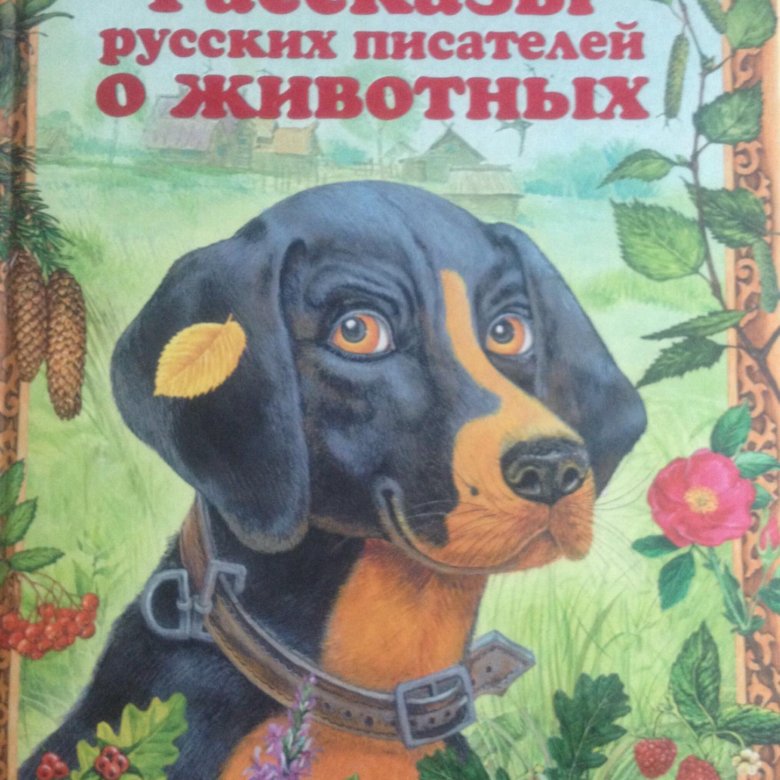 Автор рассказывающий про животных