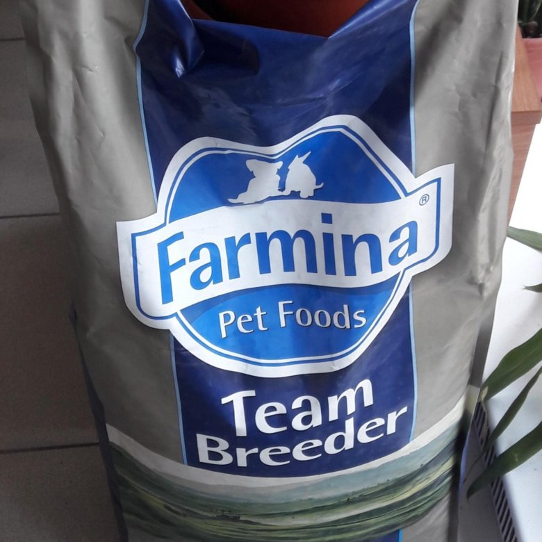 teen-breeder-naked-women-what-my-cum