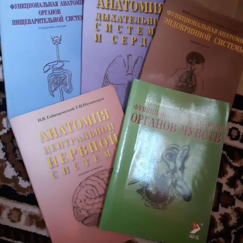 Ничипорук. Гайворонский ничипорук анатомия. Гайворонский методичка. И. Гайворонский органы чувств.