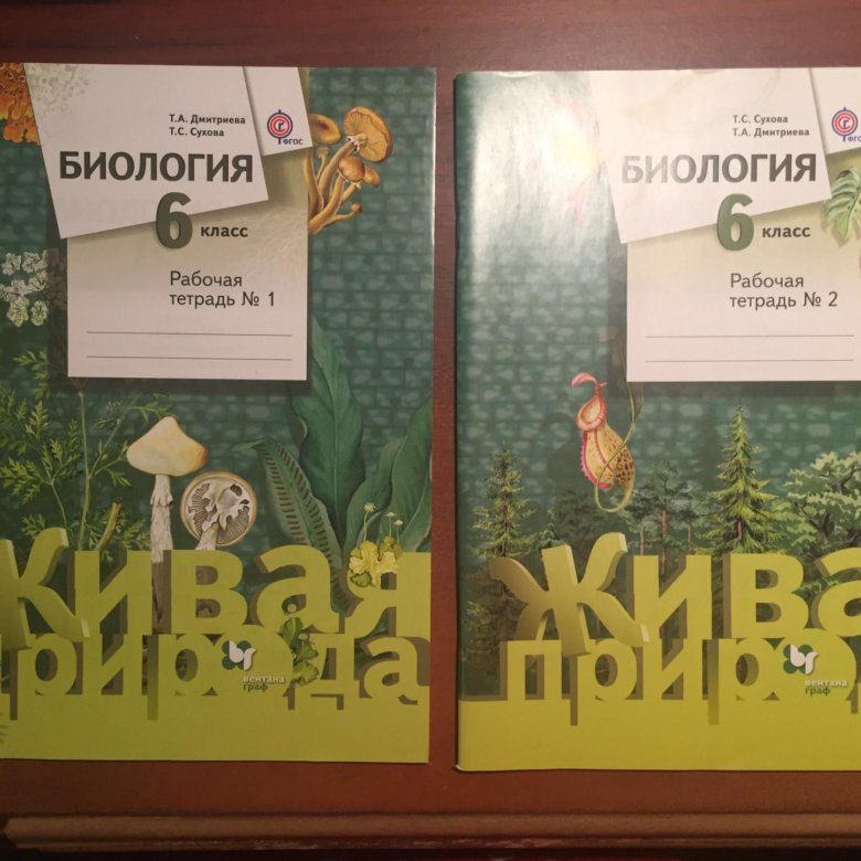 БИОЛОГИЯ 6 КЛАСС РАБОЧАЯ ТЕТРАДЬ СУХОВА СКАЧАТЬ БЕСПЛАТНО БИОЛОГИЯ 6 КЛАСС РАБОЧАЯ ТЕТРАДЬ СУХОВА СКАЧАТЬ БЕСПЛАТНО
