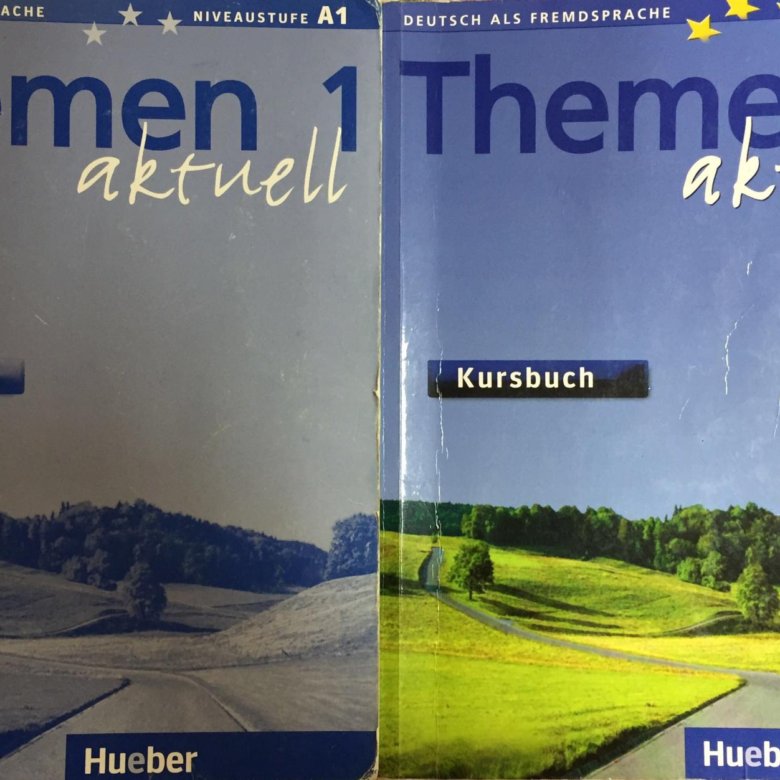 Themen aktuell 1 kursbuch. Книга Themen aktuell 1. Учебник по немецкому Themen. Themen 1 aktuell Arbeitsbuch.