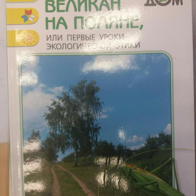 Книга великан на поляне. Плешаков великан на Поляне. Окружающий мир Плешаков великан на Поляне. Книга великан. Великан на природе.