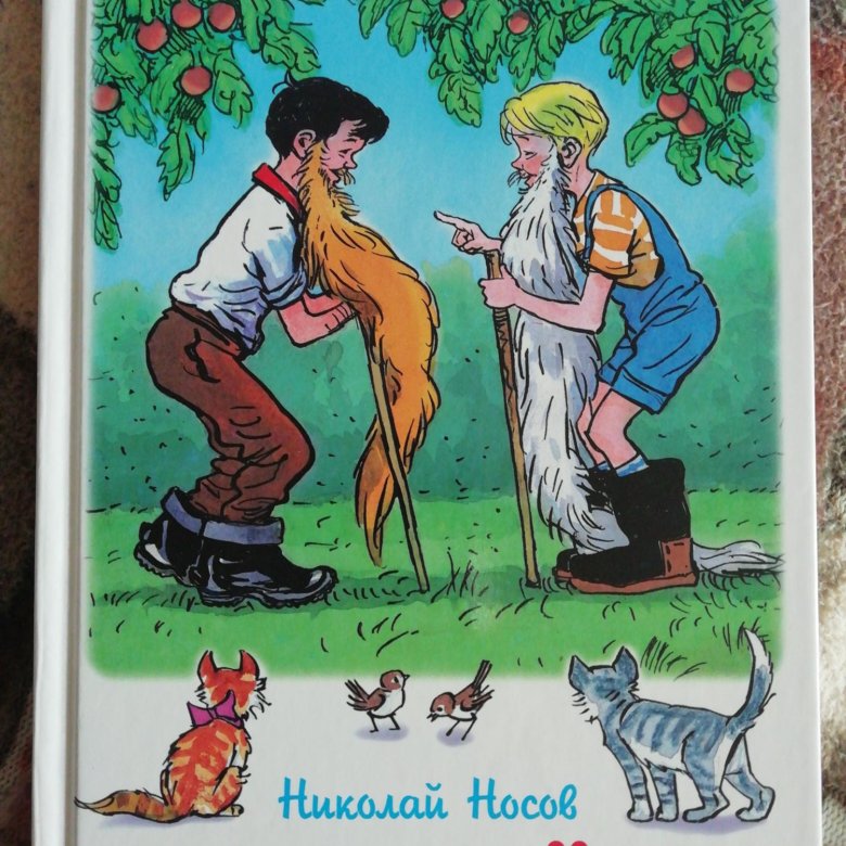 Сказочный фантазер. Фантазеры Носов иллюстрации. Иллюстрация к фантазерам Носова.