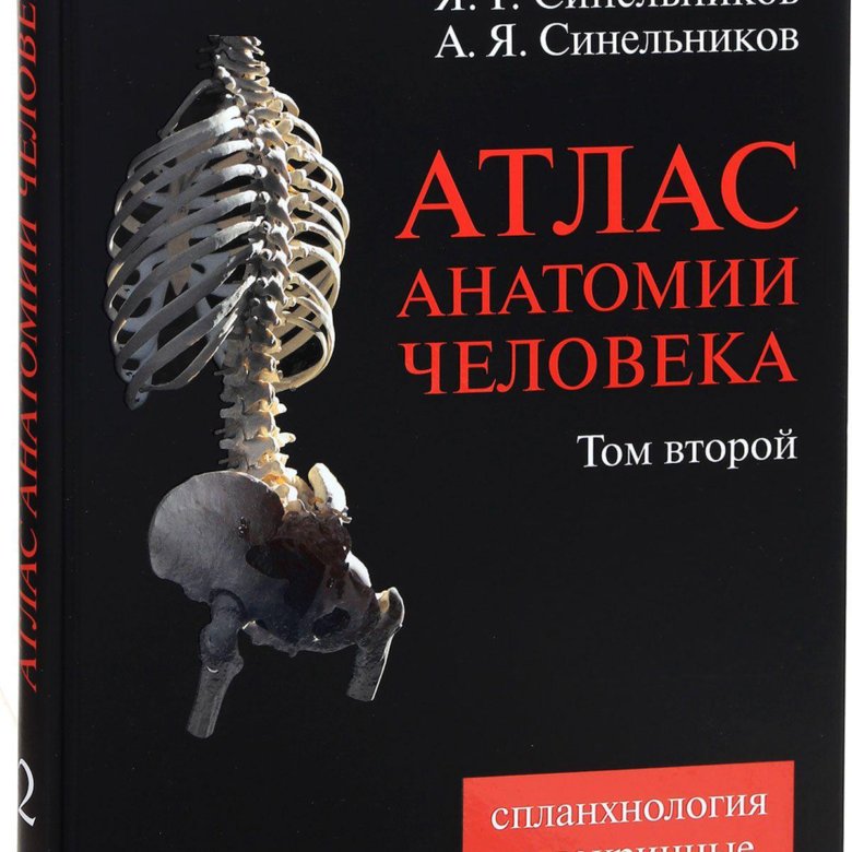 Анатомия синельникова 1 том. Атлас анатомии человека. Атлас по анатомии. Атлас человека по анатомии. Синельников анатомия.