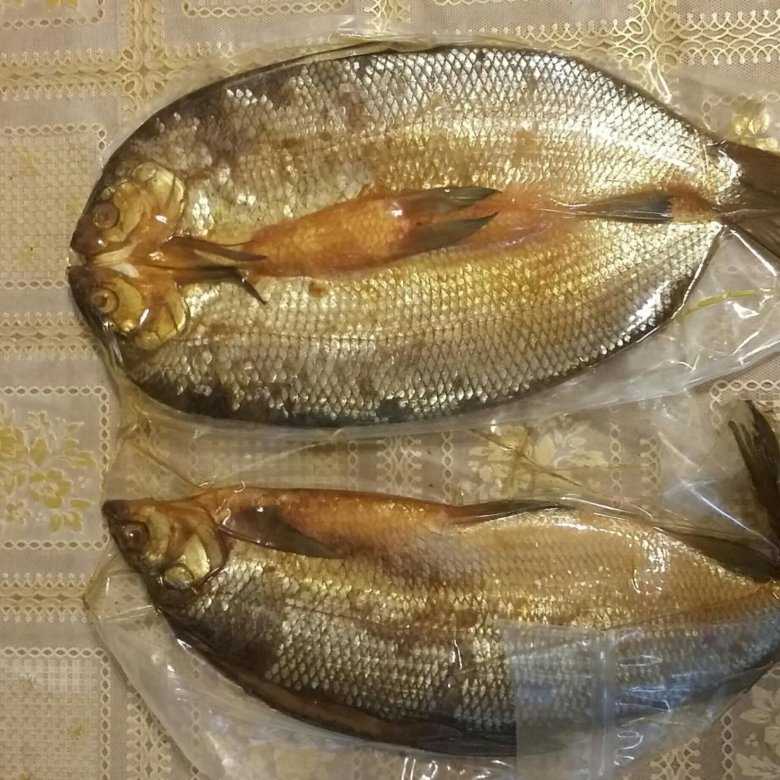 Щекур Рыба Фото Цена