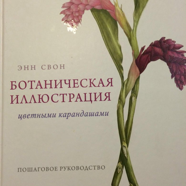 Ботаническая иллюстрация книга