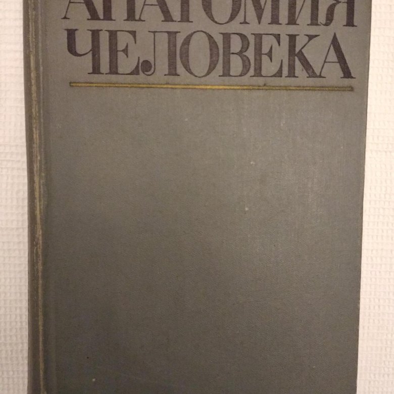 Анатомия учебник. Старые книги по анатомии. Старые учебники по анатомии. Анатомия учебник для вузов. Анатомия учебник старый.