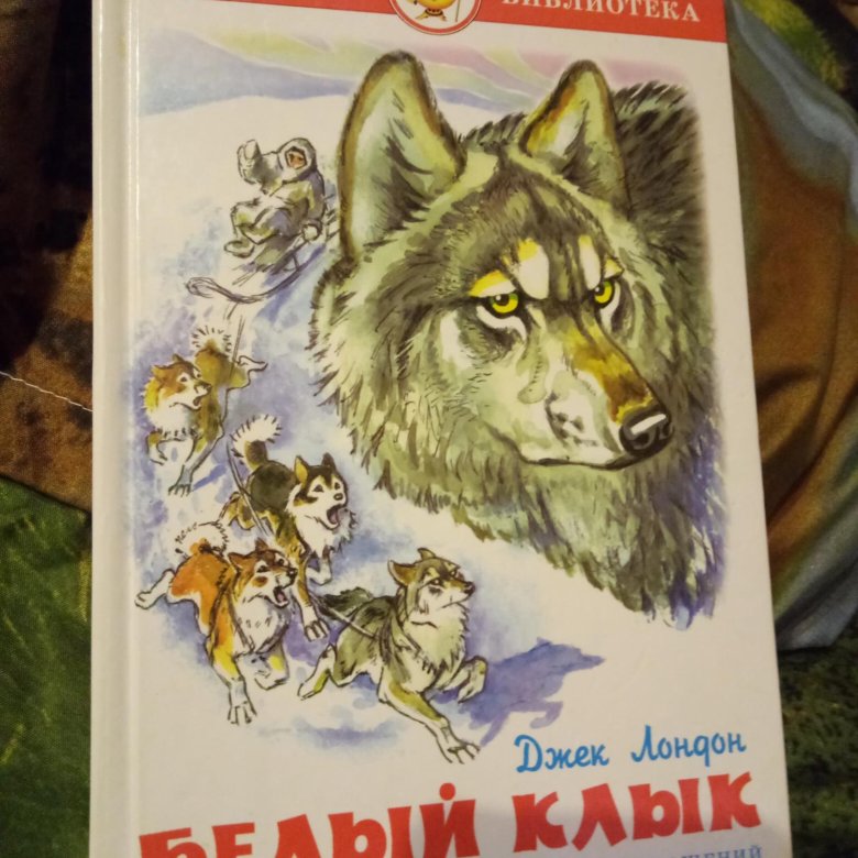 Джек лондон белый клык картинки из книги