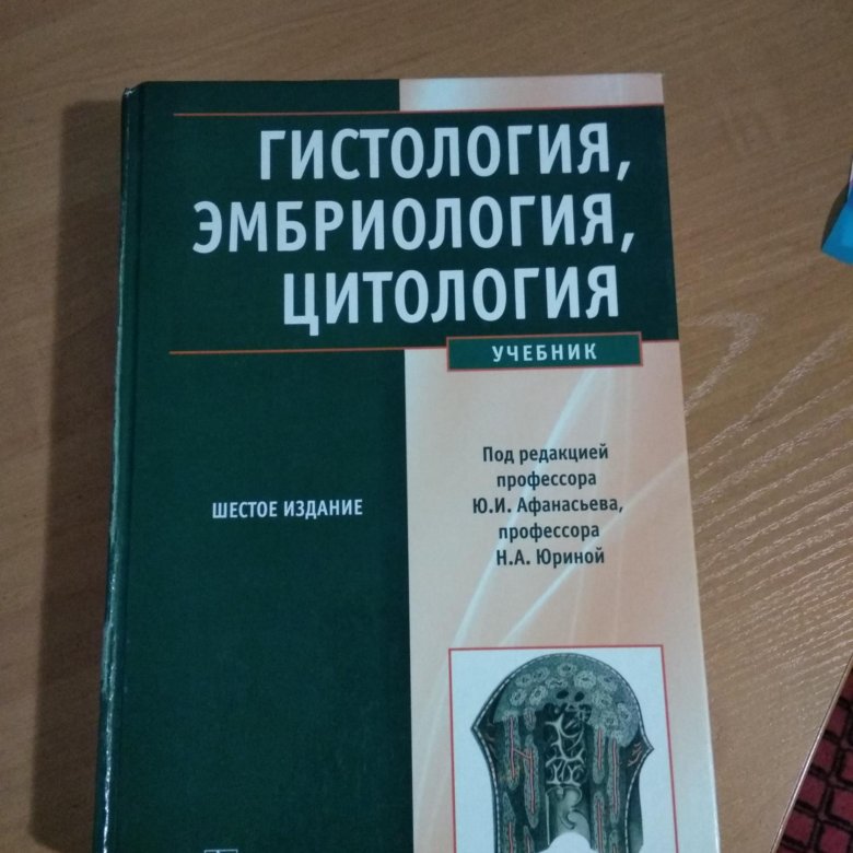 Гистология цитология и эмбриология книга. Учебник по цитологии гистологии и эмбриологии. Эмбриология лекция по гистологии. Эмбриология лекция по гистологии. Эмбриология лекция по гистологии.